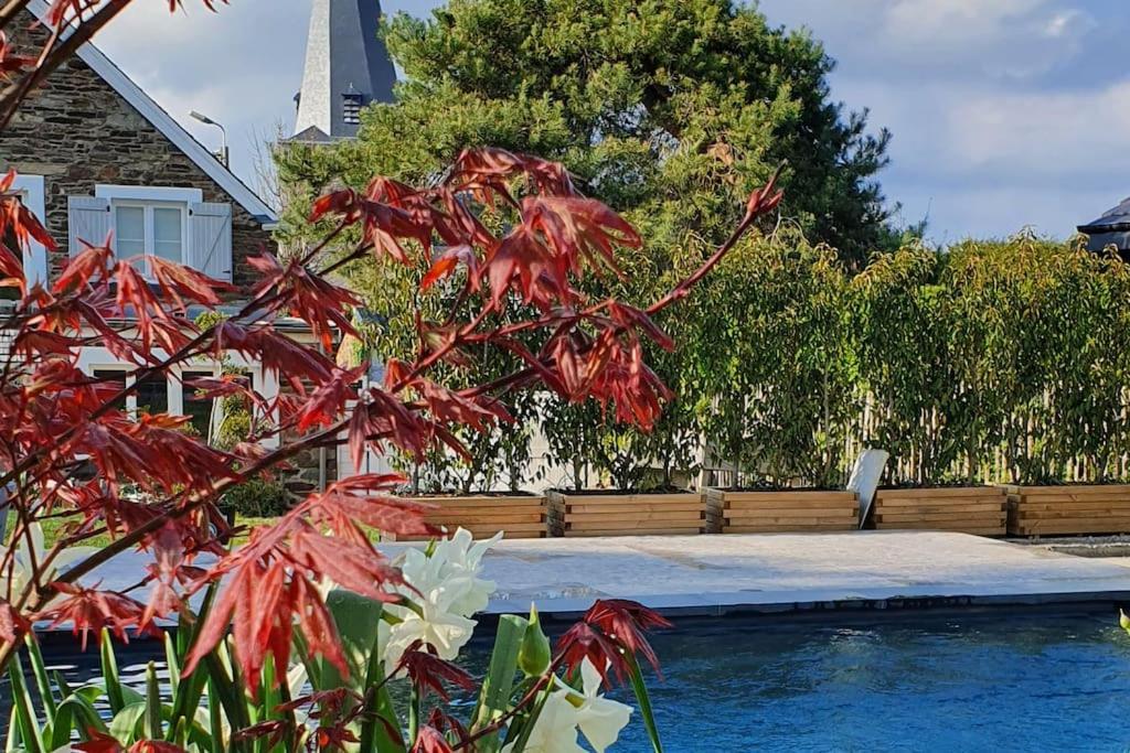 Pine Cottage- 5 Minutes Francorchamps - Charme -Piscine-Calme-Jardin Sart  Exterior foto